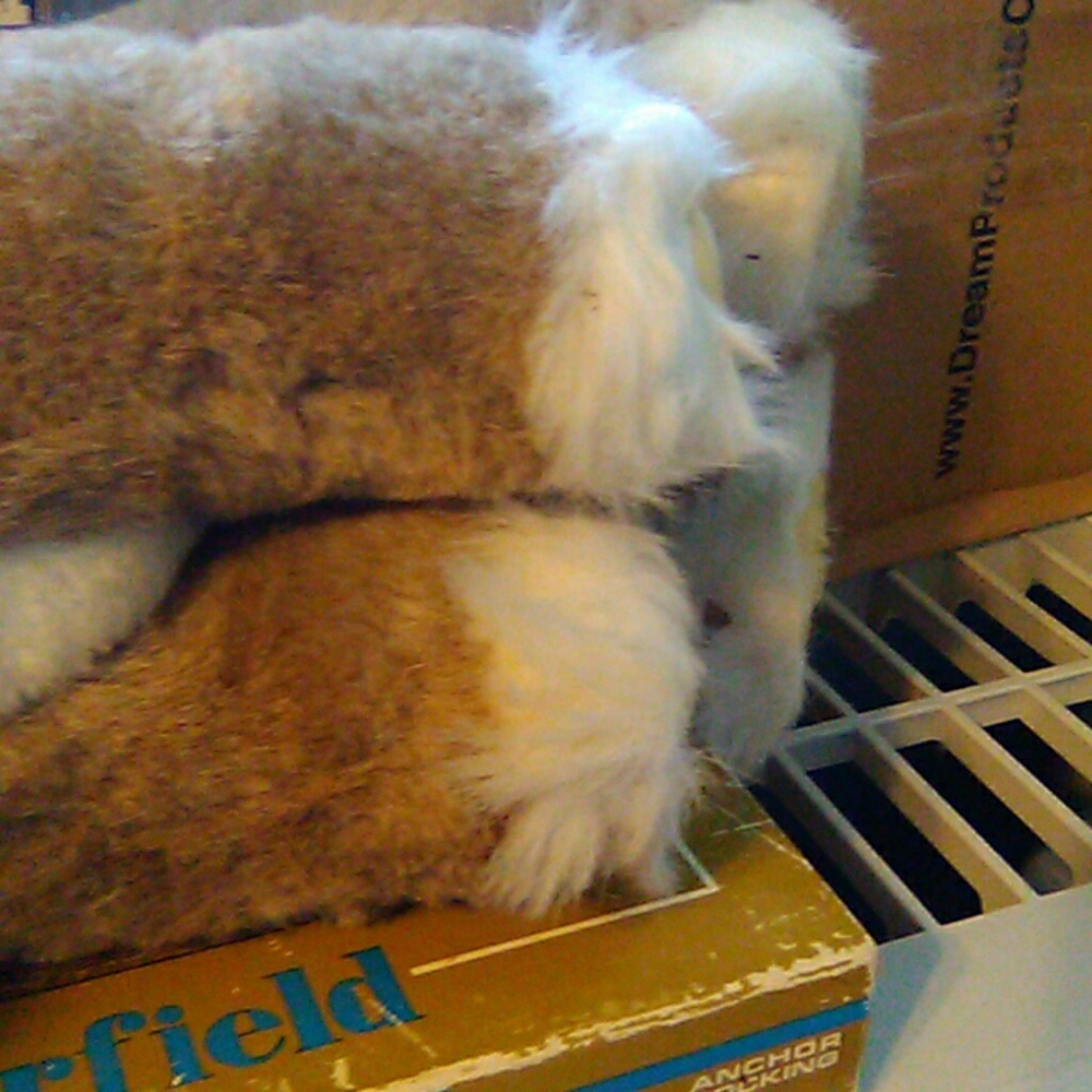 Stuffed toy - Picture 3 of 3